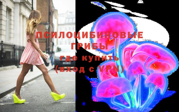 мдпв Армянск