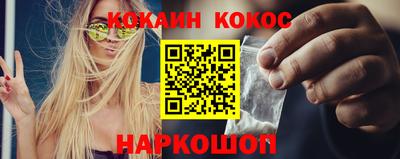 гашик Камышлов