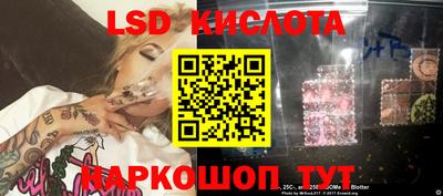 индика Кандалакша