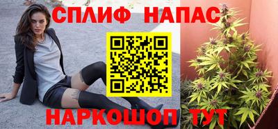 гашик Камышлов