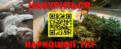 индика Кандалакша
