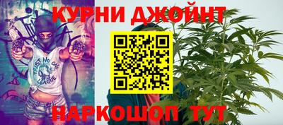 гашик Камышлов