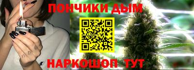 индика Кандалакша