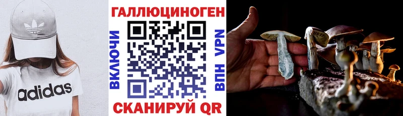 Галлюциногенные грибы мицелий  Зима 