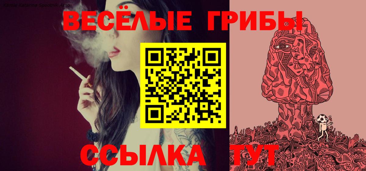 Галлюциногенные грибы мухоморы  Вход с VPN  Зима 
